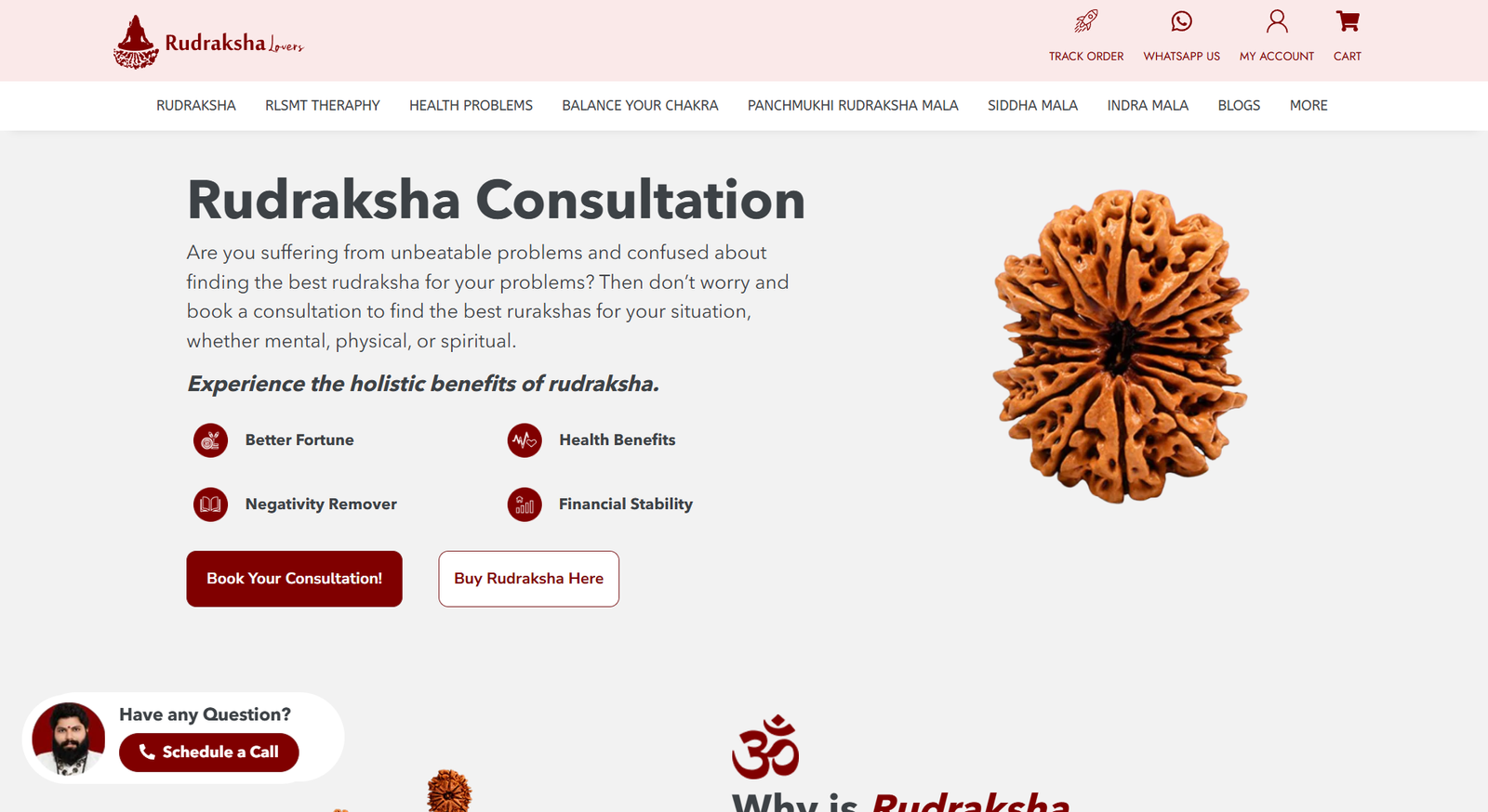 Rudraksha Lovers — authentic, lab-certified rudraksha with expert guidance. tile